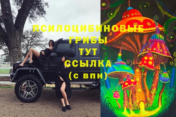 гидропоника Богородицк