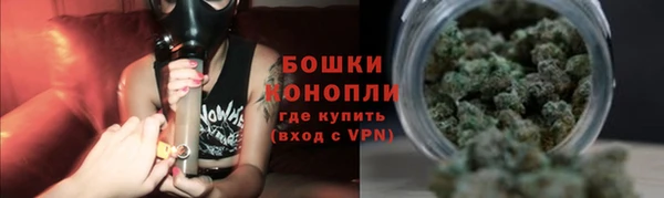 spice Верея