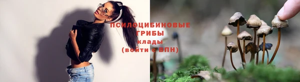 гидропоника Богородицк