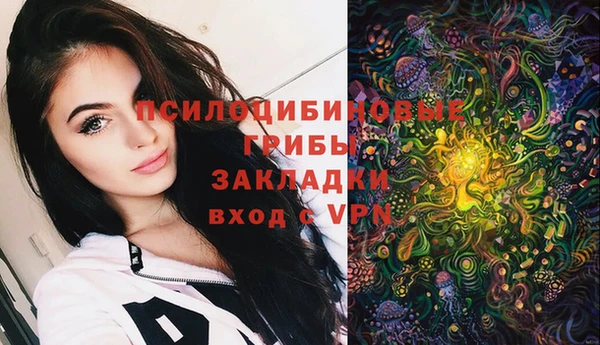 гидропоника Богородицк