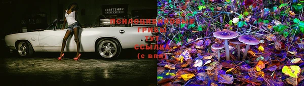 марки lsd Богородск